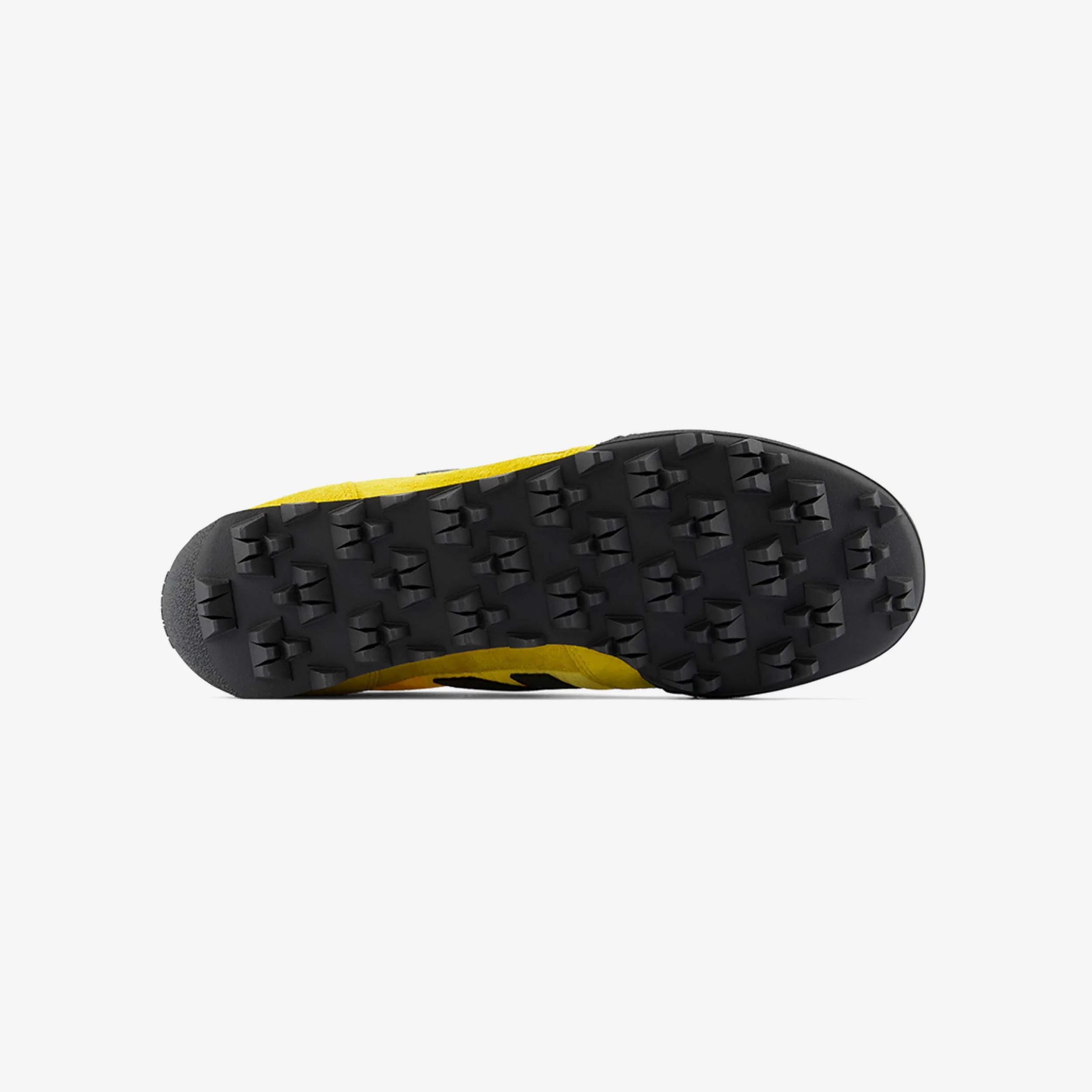 Gator Run - Image 4
